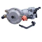 Dual Fuel Conversion Kit for Honda Generators