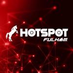 Fulham FireHorse Hot Spot Plus LED Driver System