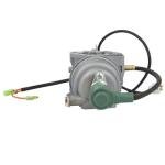 Inverter Generator Carburetor Kit for Predator 9500