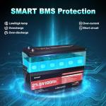 Dumfume 24V 100Ah LiFePO4 Battery for Off-Grid