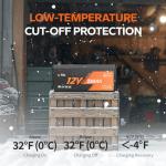 Litime 12V 280Ah LiFePO4 Deep Cycle Battery 2-Pack