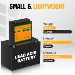 ECO-WORTHY 12V 20Ah LiFePO4 Rechargeable Battery