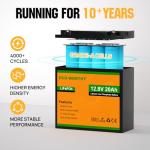 ECO-WORTHY 12V 20Ah LiFePO4 Rechargeable Battery