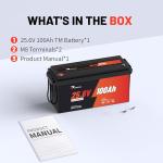 24V 100Ah Deep Cycle LiFePO4 Battery for Power