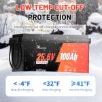 24V 100Ah Deep Cycle LiFePO4 Battery for Power