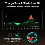 ECO-WORTHY 10000W Home Power Backup Station