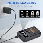 Pickle Power PSP 3001 Battery Charger for PSP