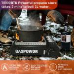 Dual Fuel Propane/Butane Stove with Windblocker