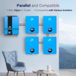 SUNGOLDPOWER 5.12KWH Lithium Battery with Monitor