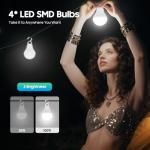 Portable Solar Generator Kit with LED Bulbs