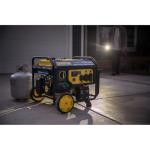Champion 3650W Dual Fuel Electric Start Generator