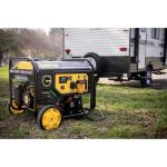 Champion 3650W Dual Fuel Electric Start Generator