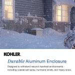 20kW Home Standby Generator with 200 Amp Transfer Switch