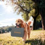 FlexSolar 100W Portable Solar Panel Charger