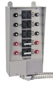Reliance Controls 10-Circuit 30-Amp Transfer Switch