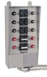 Reliance Controls 10-Circuit 30-Amp Transfer Switch