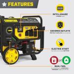 Champion 4750-Watt Dual Fuel Portable Generator