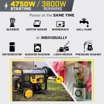 Champion 4750-Watt Dual Fuel Portable Generator