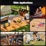 200W Portable Power Inverter for DeWALT 20V