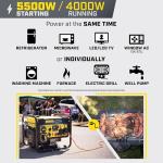 Champion 5500-Watt Dual Fuel Portable Inverter Generator