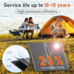 20W Portable Foldable Solar Panel with USB Outputs