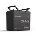 Renogy 12V 100Ah Lithium Battery with Self-Heating