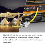 30 Amp to 110 Generator Power Cord Adapter