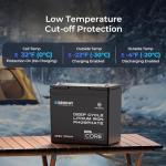 Renogy 12V 100Ah Lithium Battery with Self-Heating