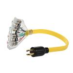 30 Amp Generator Locking Cord with Power Indicator