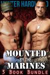 Marine-Themed 3 Book Bundle for Gay Romance
