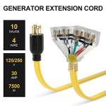 30 Amp Generator Locking Cord with Power Indicator