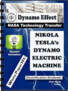 Dynamo EESM Generator - Power Your Needs