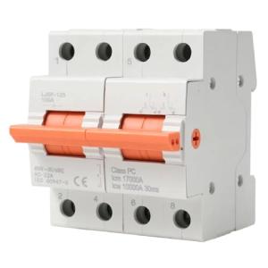 LJSF-125 2P Manual Transfer Switch, 100A 125A Dual Power Isolating Switch, 400V AC Modular Changeover Switch, CE Certified Circuit Breaker for Solar Systems (100A)