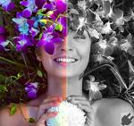 Corel AfterShot Pro 3 Photo Editing Software Key Card