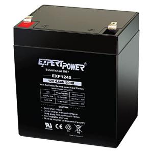 ExpertPower 12V 4.5 Amp Rechargeable Security Battery