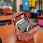 Colorful Summit Ridge Mesh Backpacks for All Ages