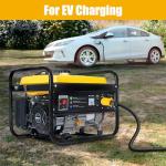 NEMA L5-30P to 5-15R/5-20R Adapter Plug