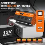 3000W DC to AC Power Inverter with LCD Display