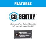 Pulsar 9,000-Watt Dual-Fuel Electric Start Generator