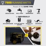 Champion 9375-Watt Dual Fuel Portable Generator