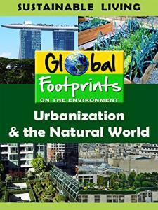 Generator for Urban and Natural World Use