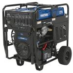 Powerhorse Dual Fuel Portable Generator, 27,000 Watts