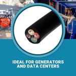 IronBox 8 Gauge 4-Conductor Electric Generator Cable
