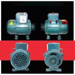 3500W 220V Permanent Magnet Generator, Brushless Belt-Driven Lighting Generator With Pure Copper Coil, For Gasoline Or Diesel Engine, Home Backup Use