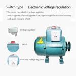 3500W 220V Permanent Magnet Generator, Brushless Belt-Driven Lighting Generator With Pure Copper Coil, For Gasoline Or Diesel Engine, Home Backup Use