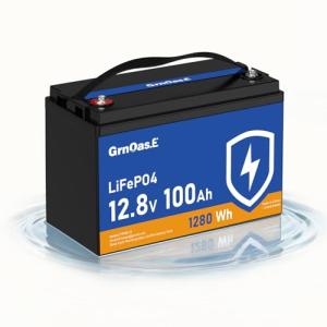 100Ah LiFePO4 Lithium Battery with BMS and Protection