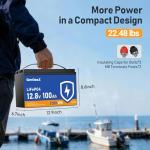 100Ah LiFePO4 Lithium Battery with BMS and Protection