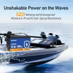 100Ah LiFePO4 Lithium Battery with BMS and Protection