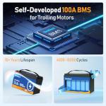 100Ah LiFePO4 Lithium Battery with BMS and Protection