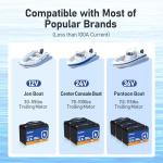 100Ah LiFePO4 Lithium Battery with BMS and Protection